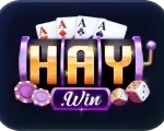 HAY